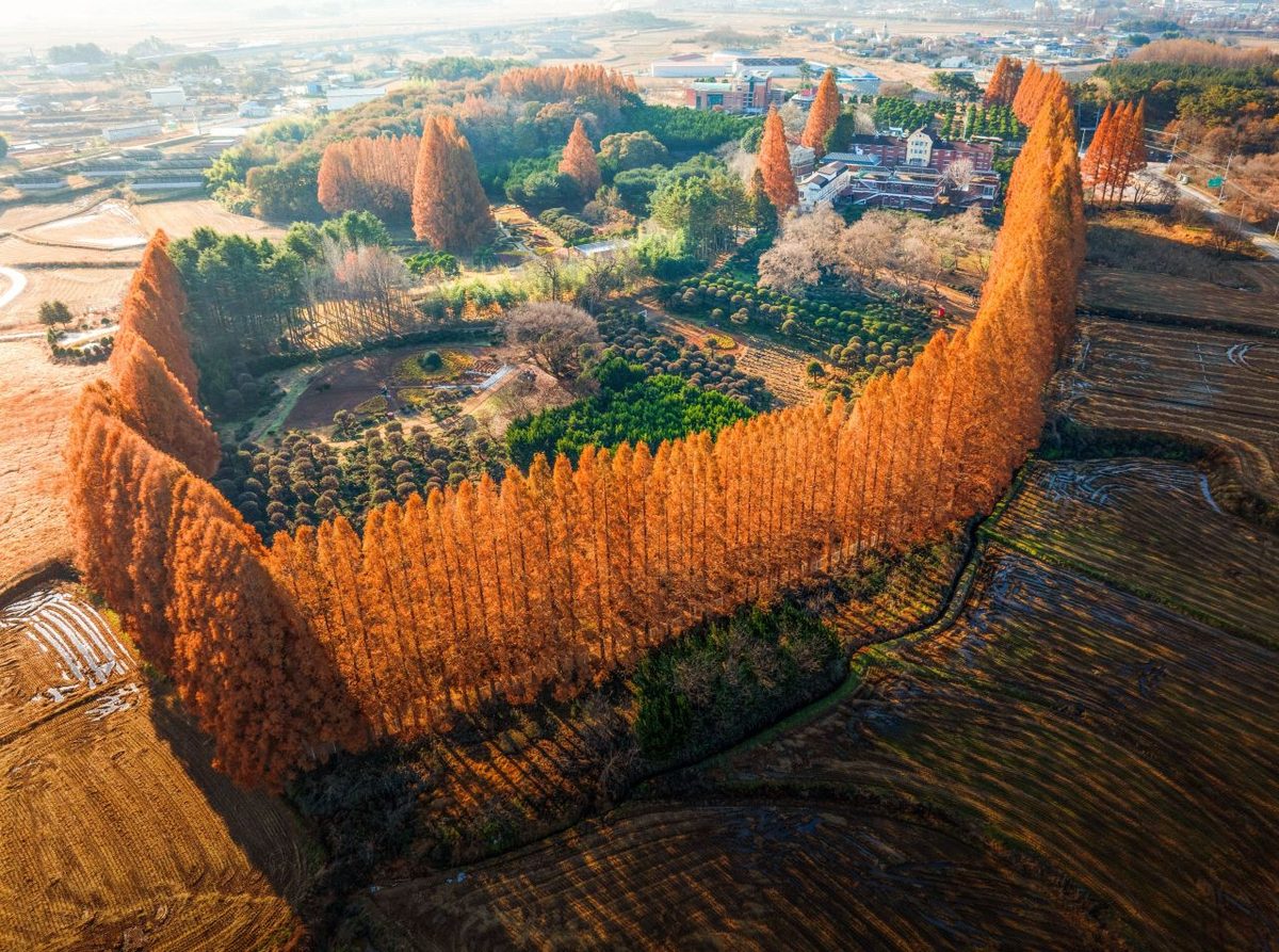 Source: Korea Tourism Organization