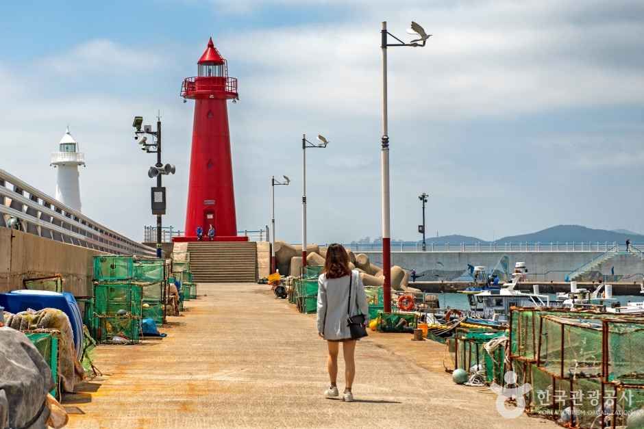 청사포 고양이마을 / Source: Korea Tourism Organization