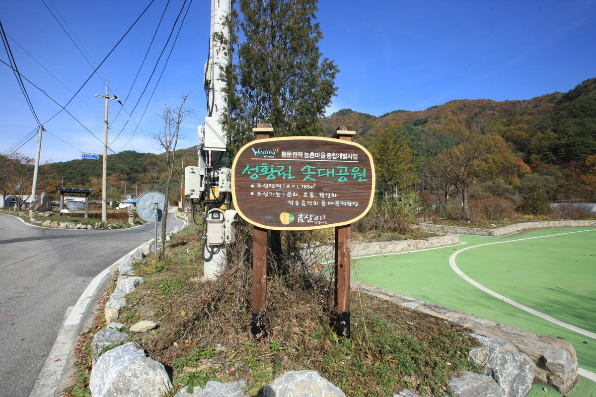 원주 성남리의 성황림 / Source: Korea Tourism Organization