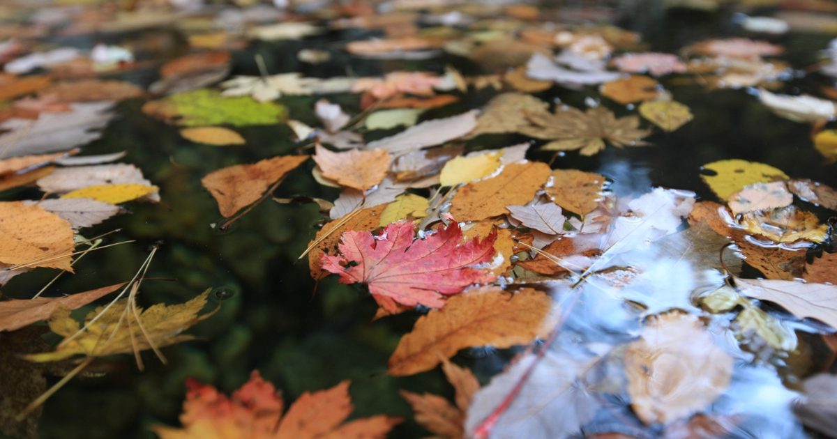 치악산국립공원 / Source: Korea Tourism Organization
