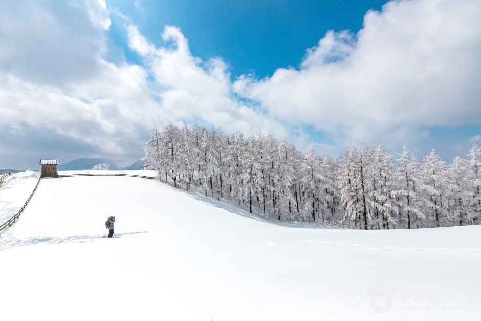 Source: Korea Tourism Organization