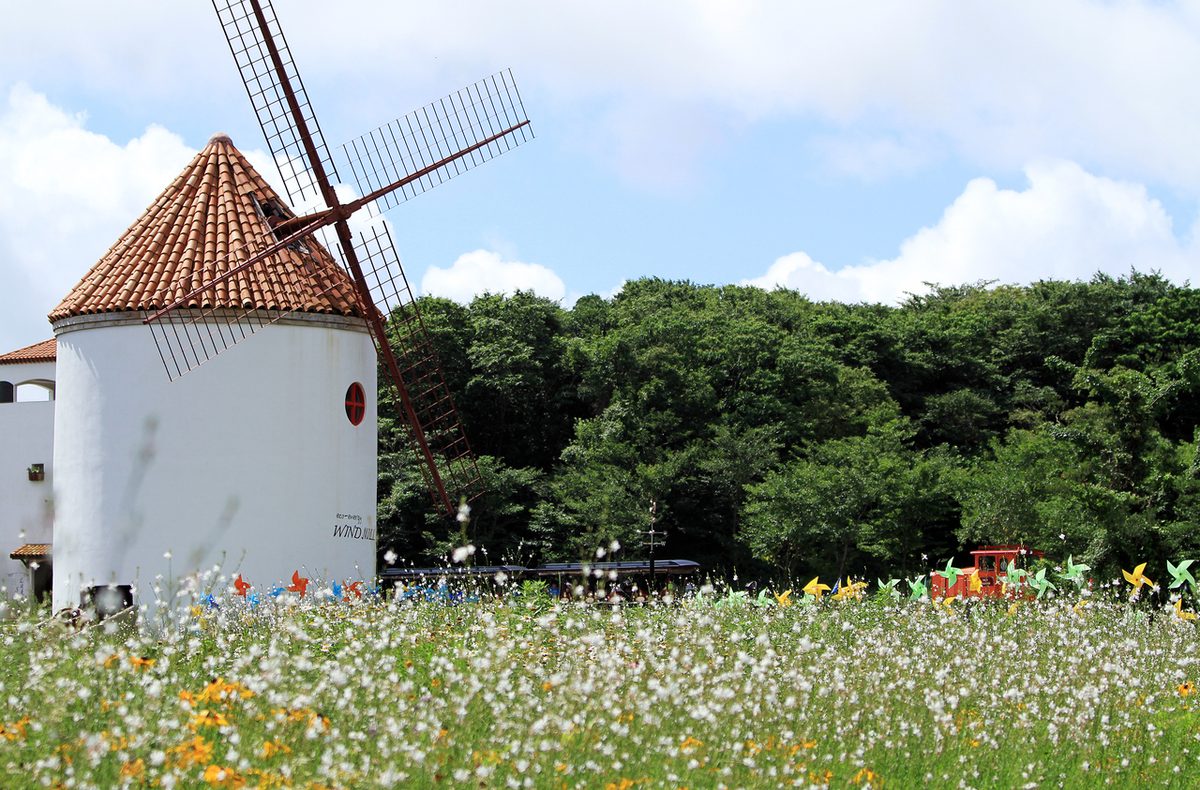 제주도 에코랜드테마파크 / Source: Korea Tourism Organization