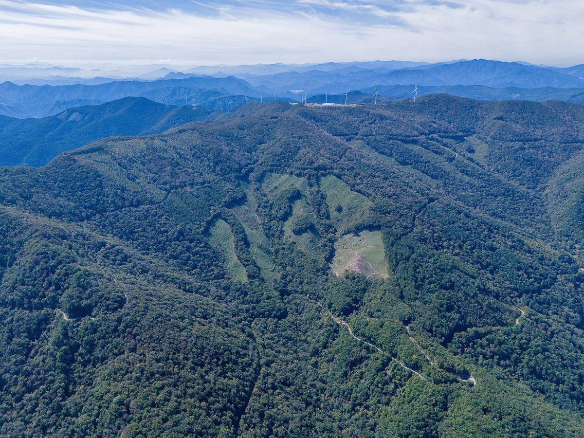 가리왕산 / Source: Korea Tourism Organization