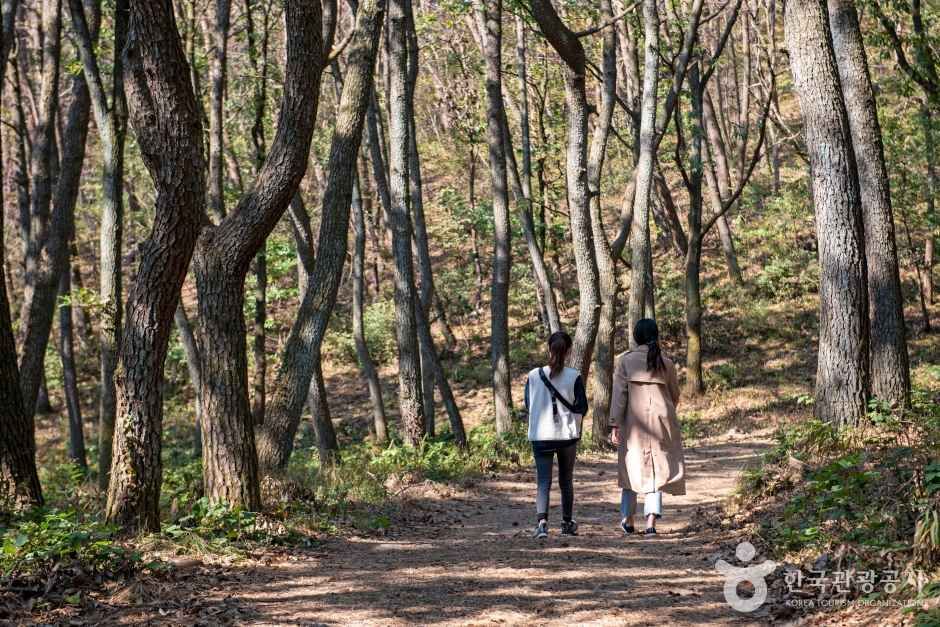 금정산 (2020) / Source: Korea Tourism Organization