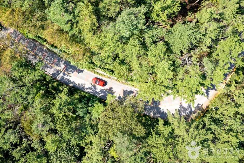 금정산 (2021) / Source: Korea Tourism Organization