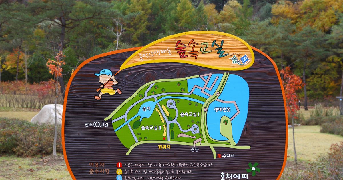 홍천공작산생태숲 / Source: Korea Tourism Organization