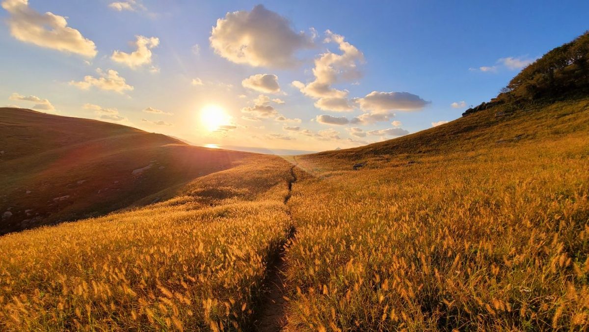 Source: Korea Tourism Organization