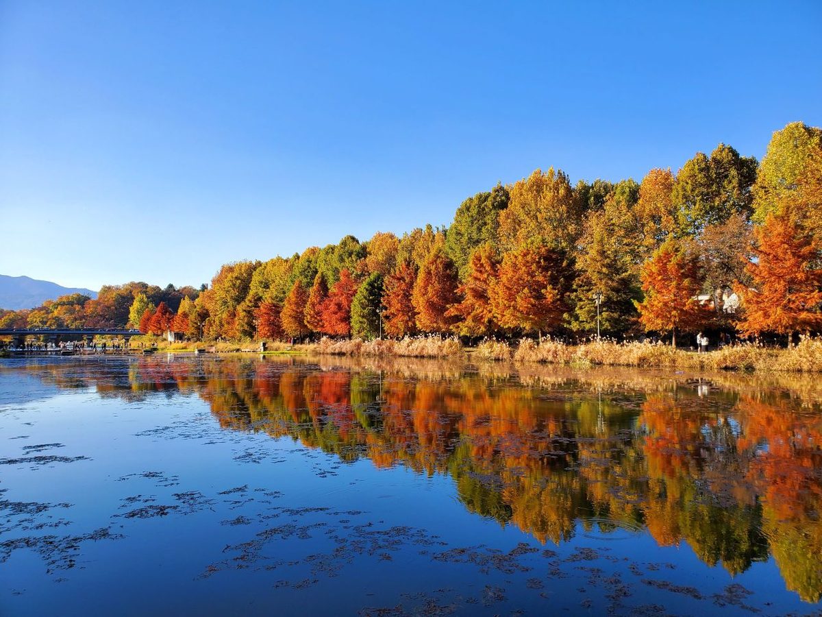 Source: Korea Tourism Organization