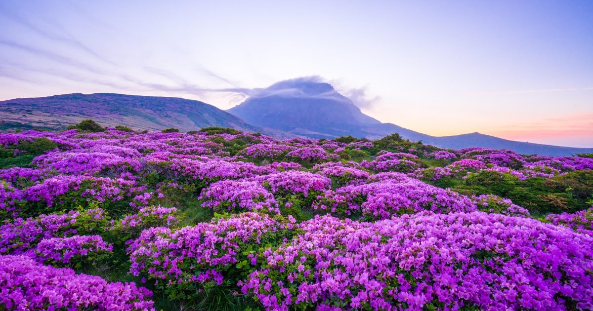 Photo: 윤판석 / Korea Tourism Organization, KOGL Type 1