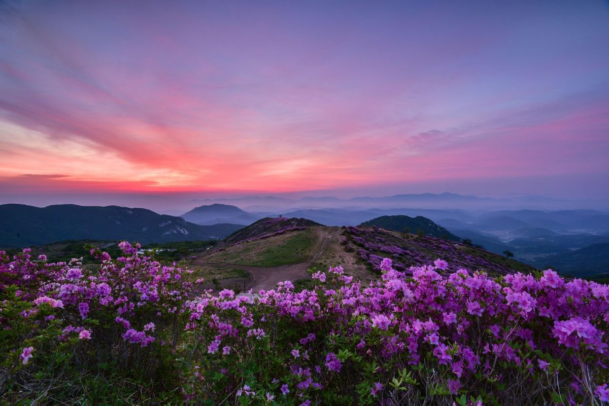 Source: Korea Tourism Organization