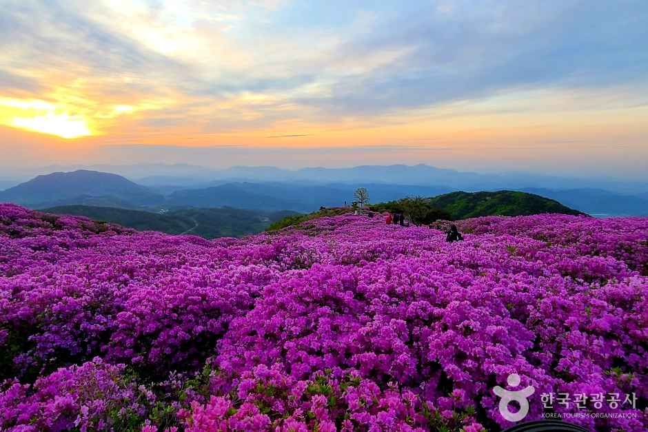 Source: Korea Tourism Organization