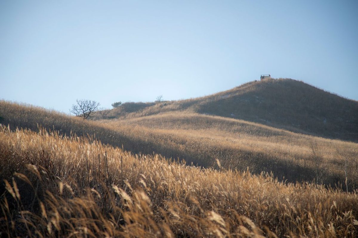 황매산 / Source: Korea Tourism Organization