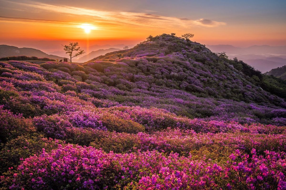 Source: Korea Tourism Organization