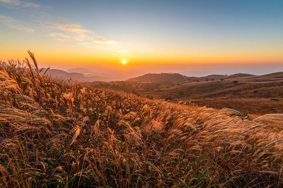 Source: Korea Tourism Organization