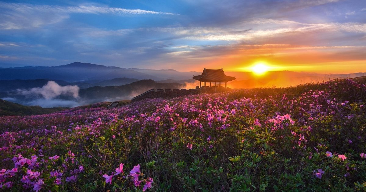 Source: Korea Tourism Organization