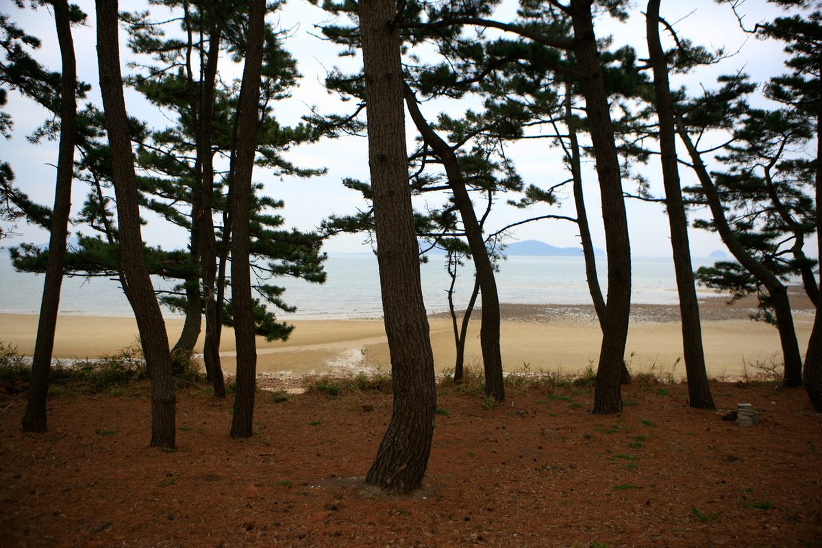 장곡해변 / Source: Korea Tourism Organization