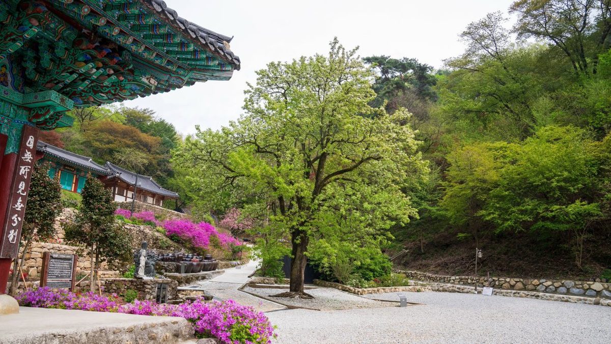 은수사 / Source: Korea Tourism Organization