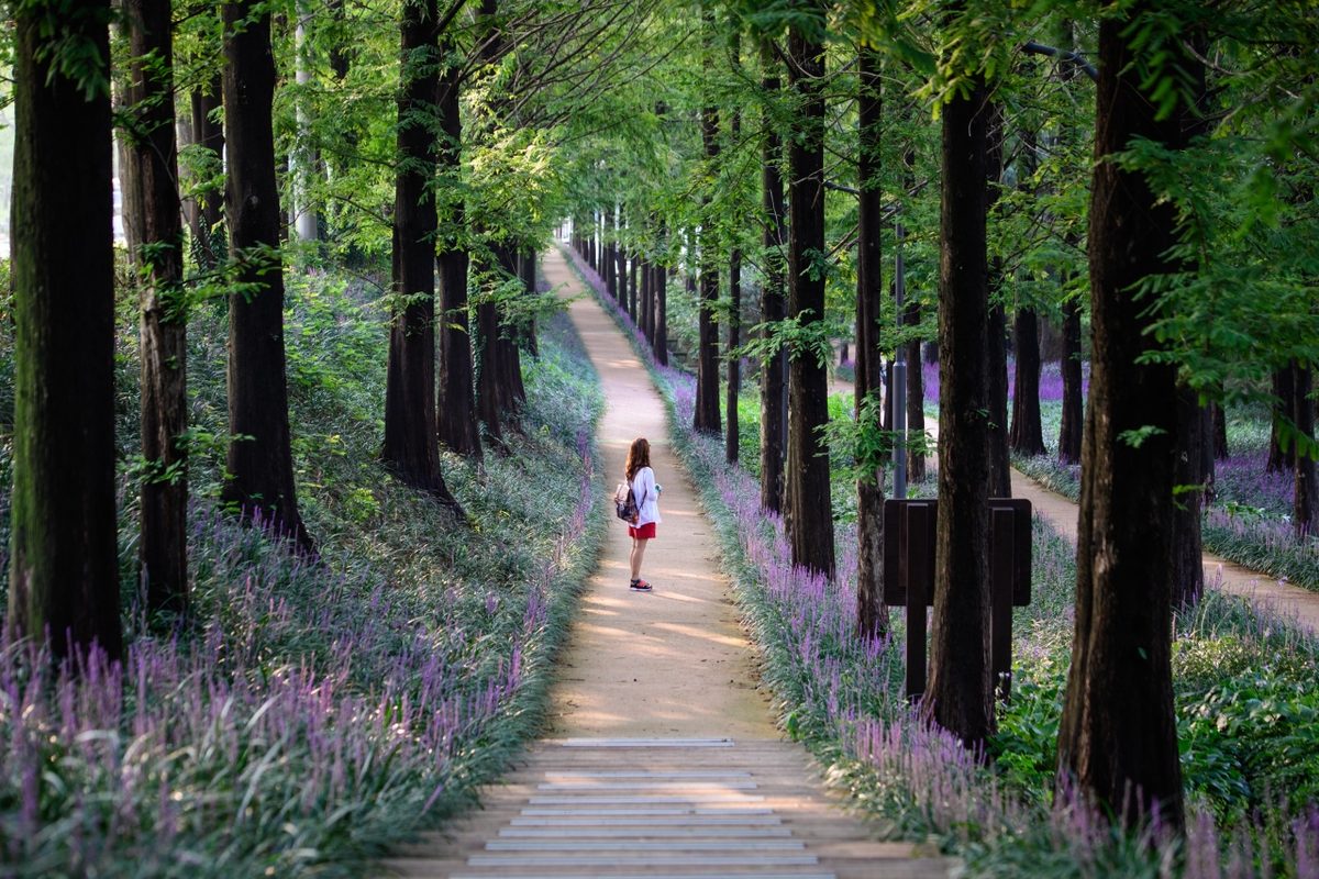 Source: Korea Tourism Organization