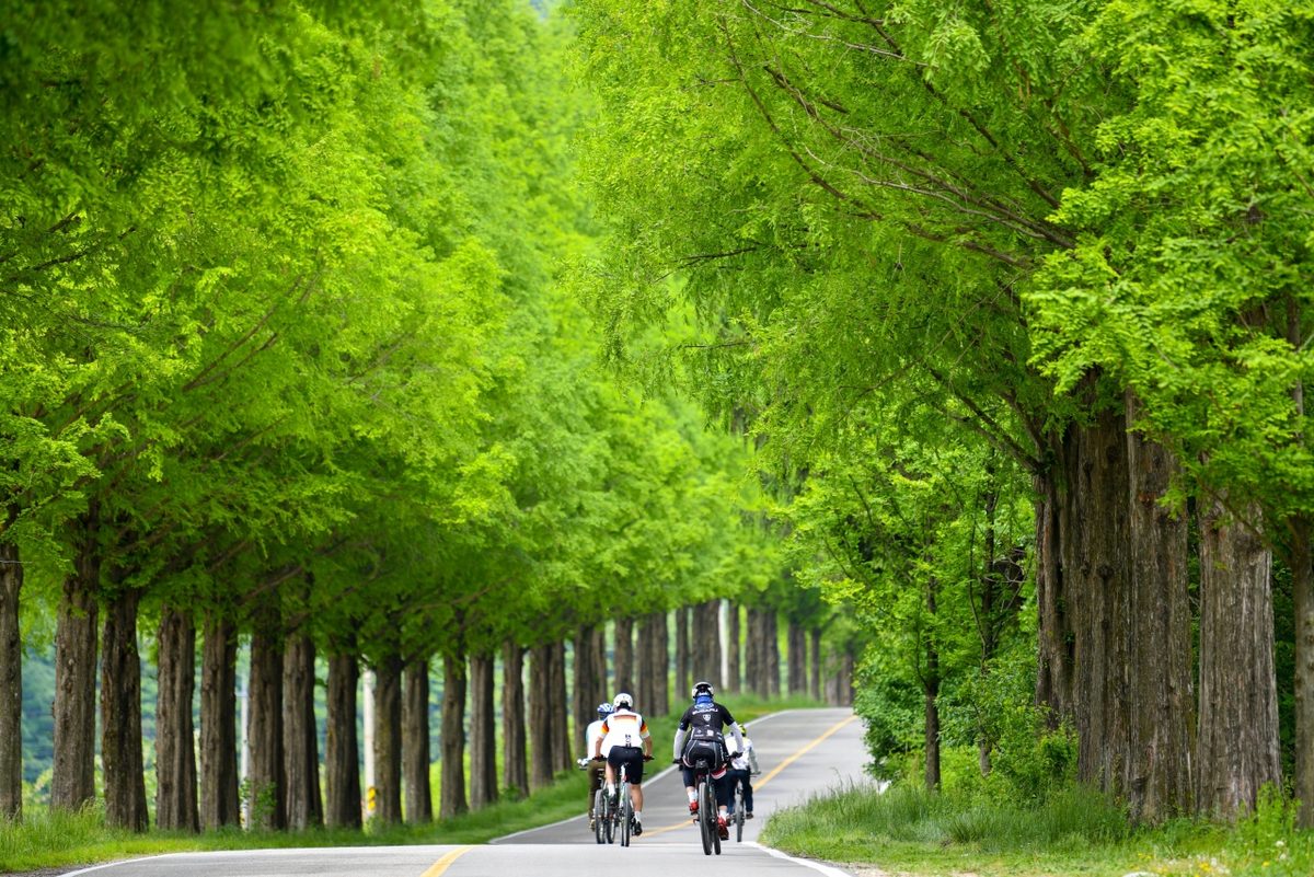 Source: Korea Tourism Organization