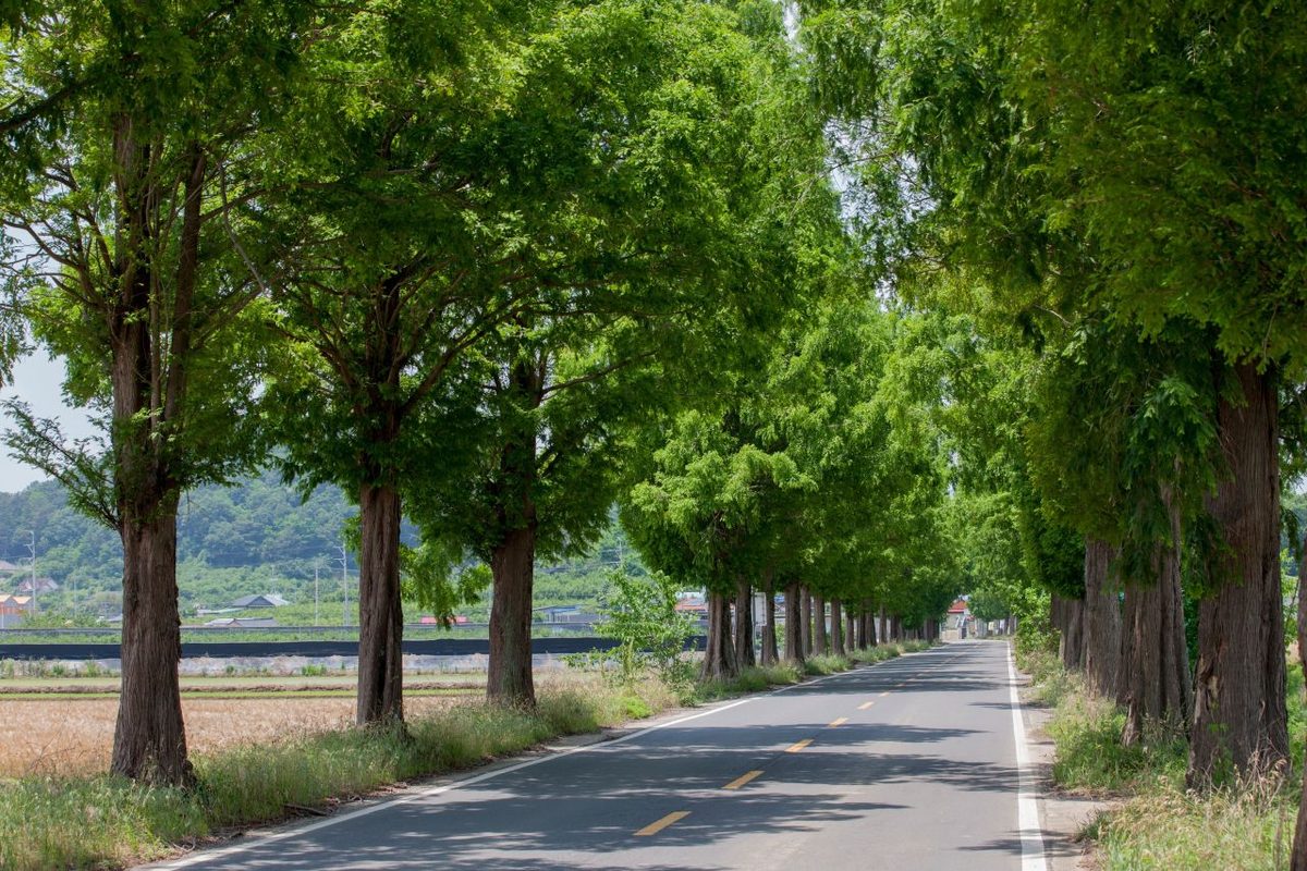 창원 죽동마을 / Source: Korea Tourism Organization