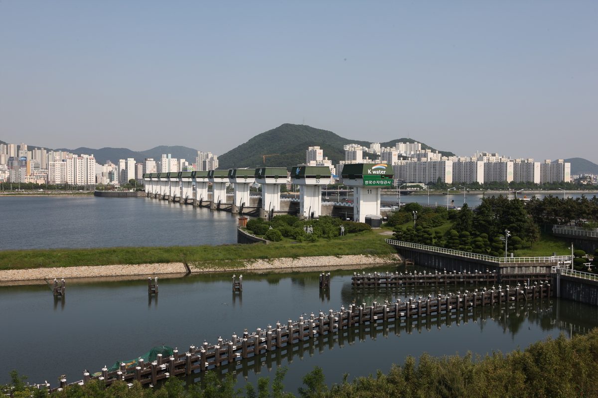 낙동강하구 / Source: Korea Tourism Organization