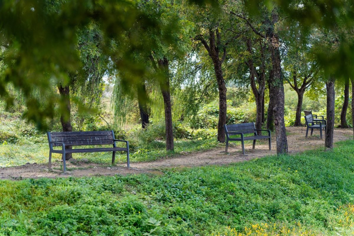팔당물안개공원 / Source: Korea Tourism Organization