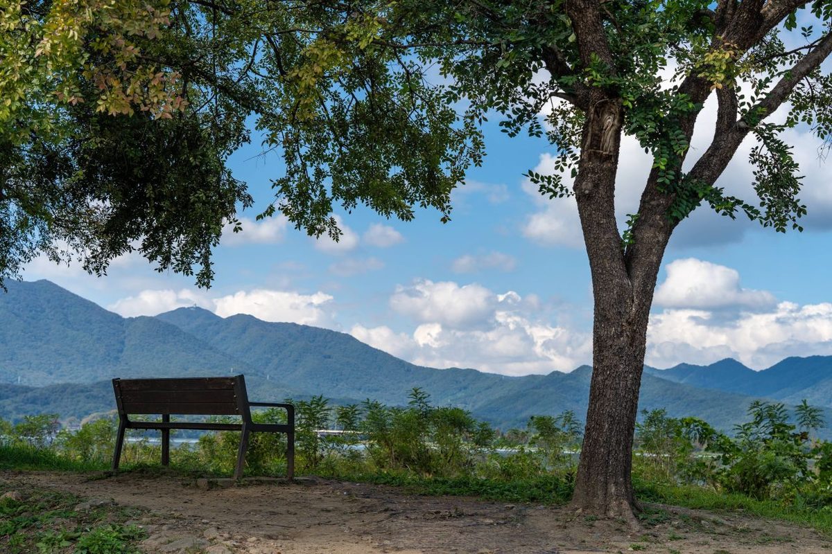 팔당물안개공원 / Source: Korea Tourism Organization