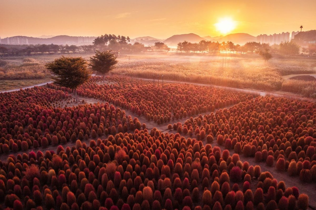 Source: Korea Tourism Organization