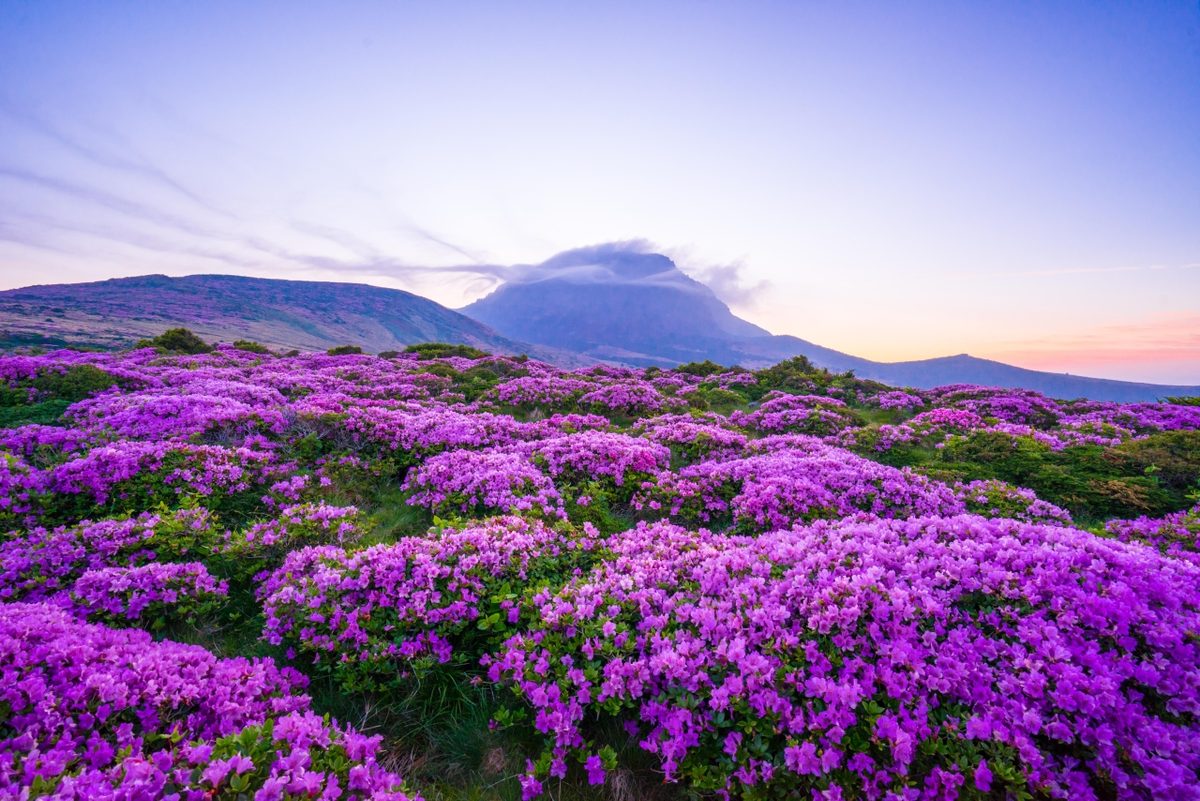 Source: Korea Tourism Organization